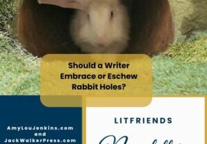 Copy of Newsletter Rabbit Hole